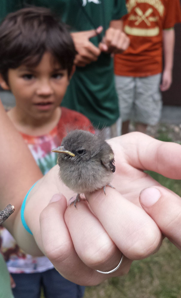 One Of My Campers Stumbled Upon A Real Life Angry Bird