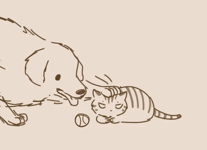 animal-friends-cat-dog-comics-lynal-17