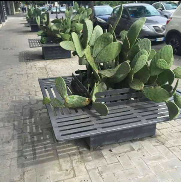 These Benches