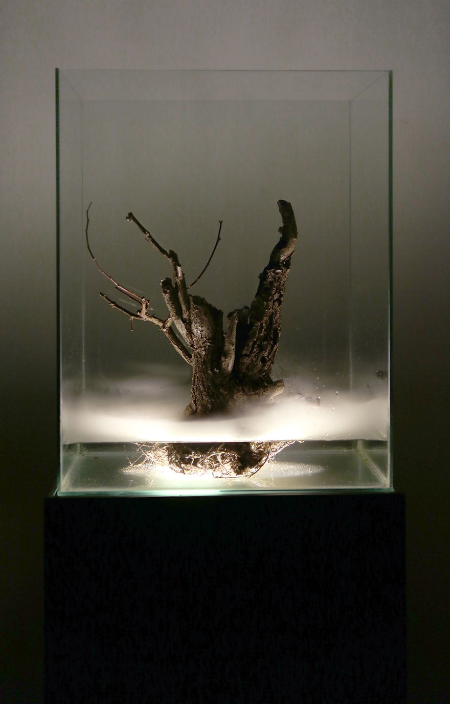 New Resin Sculptures By Giulia Manfredi