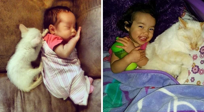 Girl Sleeps Together With Her Kitty From The First Day They Met
