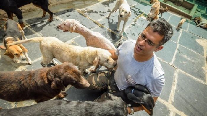 Software Engineer Spends His Spare Time Looking After 735 Abandoned Dogs