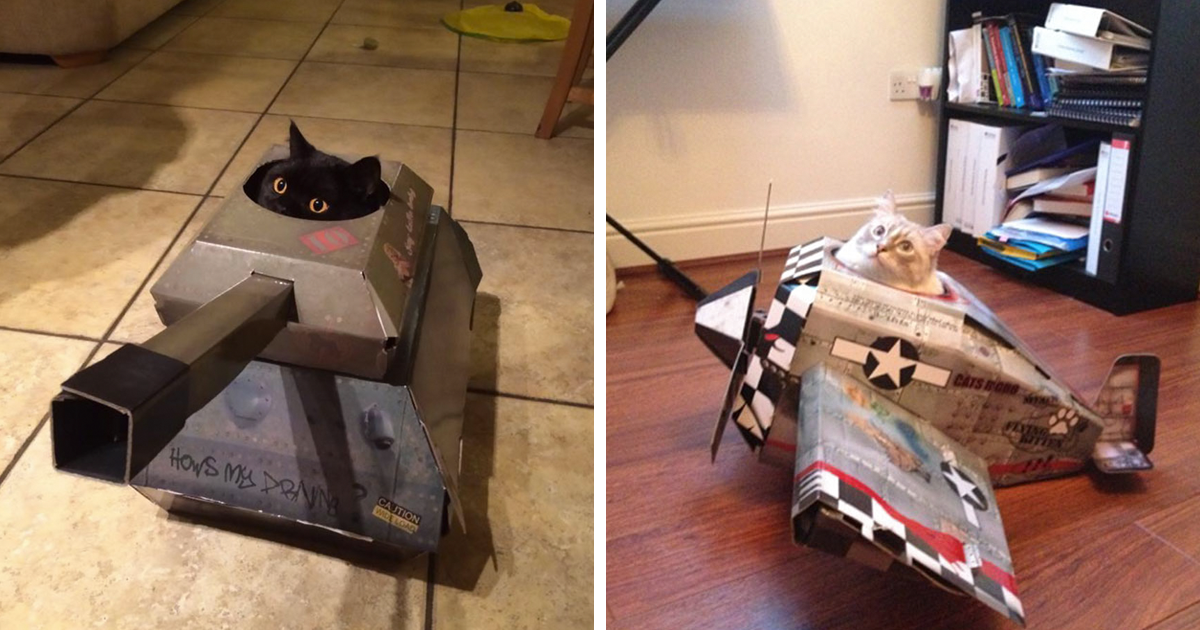Suck UK Cat Play HouseNovelty Cardboard Cat TankCat Toy & Accessories 