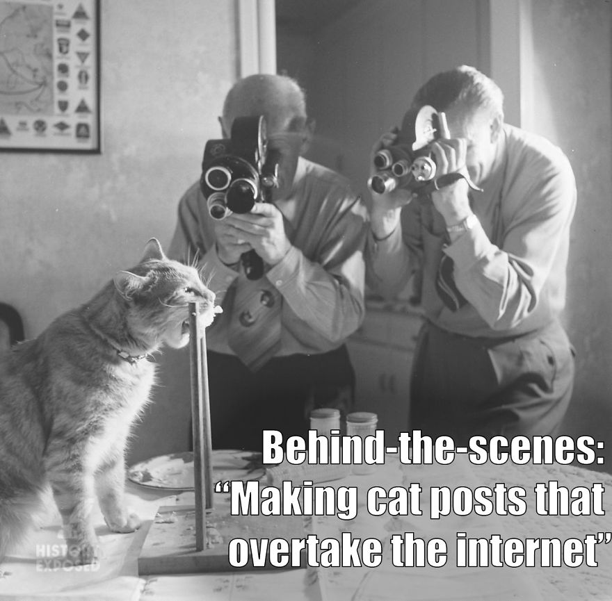 Someone Added Witty Quotes To These Historical Photos And It Is Just Brilliant