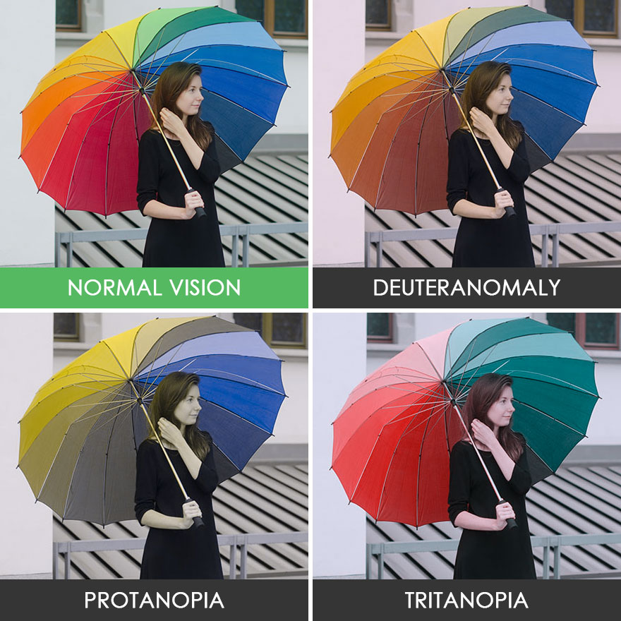 This Is How People With Color Blindness See The World Bored Panda This Is How People With Color Blindness See The World Bored Panda