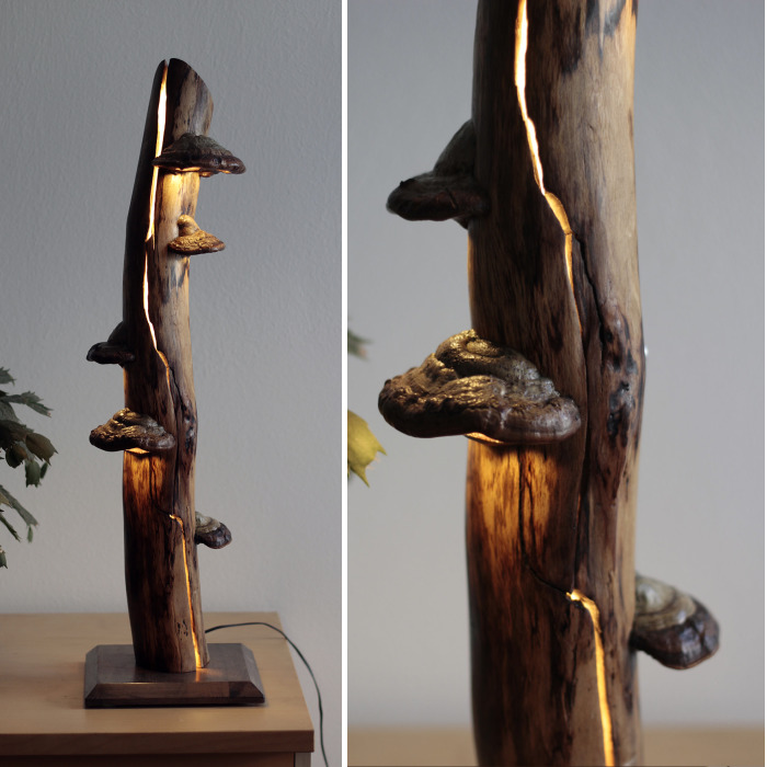 I Create Unique Lamps Out Of Real Mushrooms And Mountain Crystals