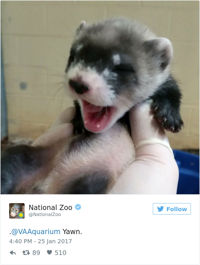 Zoos Get Into Brutal #CuteAnimalTweetOff Battle, And It's Exactly What The Internet Needed