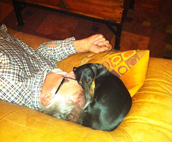 "I Don't Need A Dog!", My Dad Said. Now: Best Buddies Napping Together