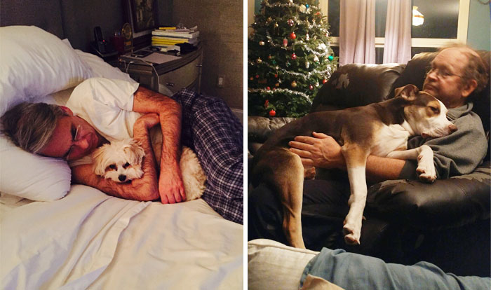 50 Dads Who Didn’t Want The Damn Dogs In Their Lives