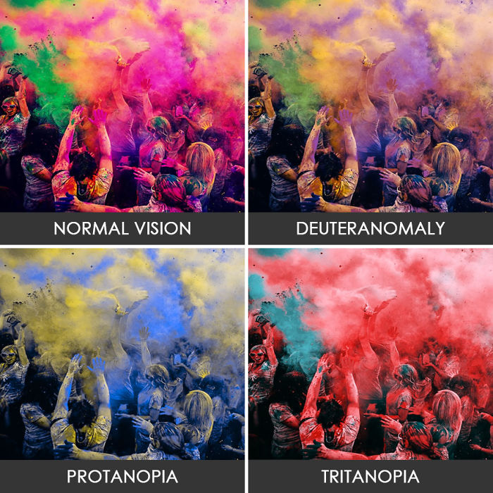 Holi Festival Of Colours