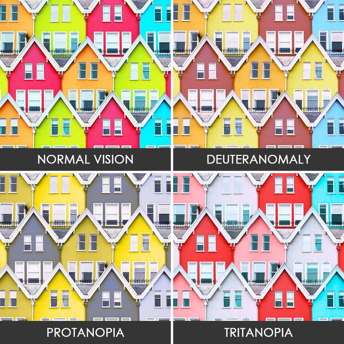 Colorful Houses