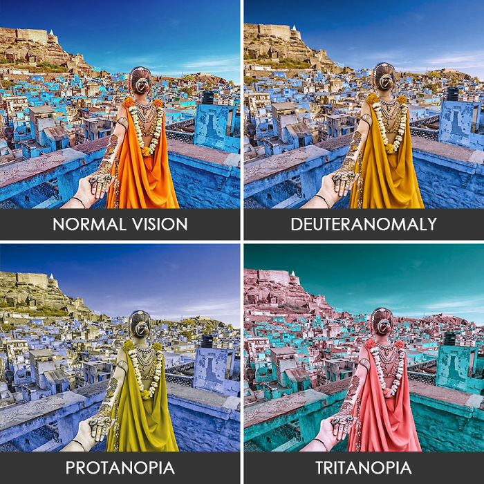 Follow Me To Rajastan