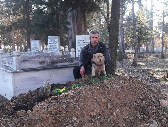 Heartbroken Dog Keeps Coming Back To His Best Friend's Grave Every Day