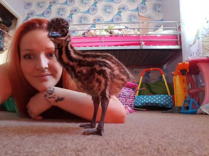 This Woman Bought An Egg On eBay For $30, Now She Has An Exotic Bird