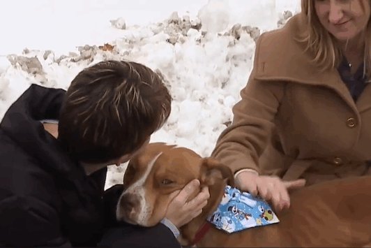 family-leaves-dog-cold-garbage-ollie-01