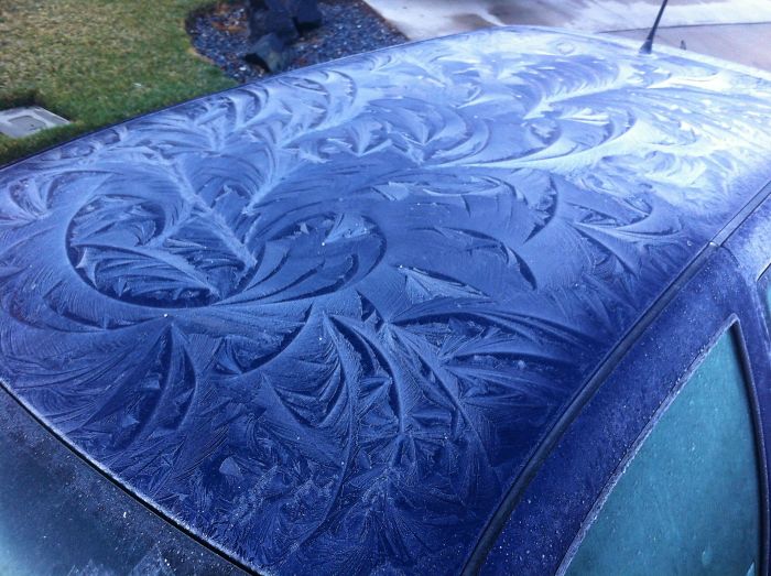 Mother Nature Made Some Ice Art On My Car This Morning