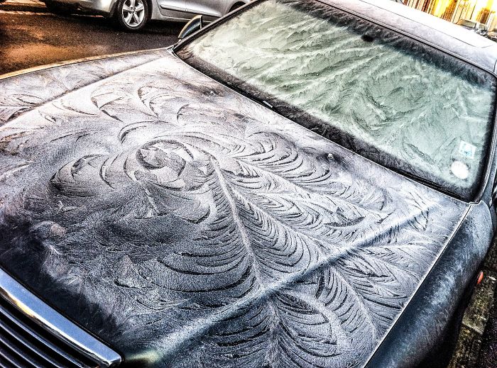 Dirty Cars Get The Most Beautiful Frost Feathers