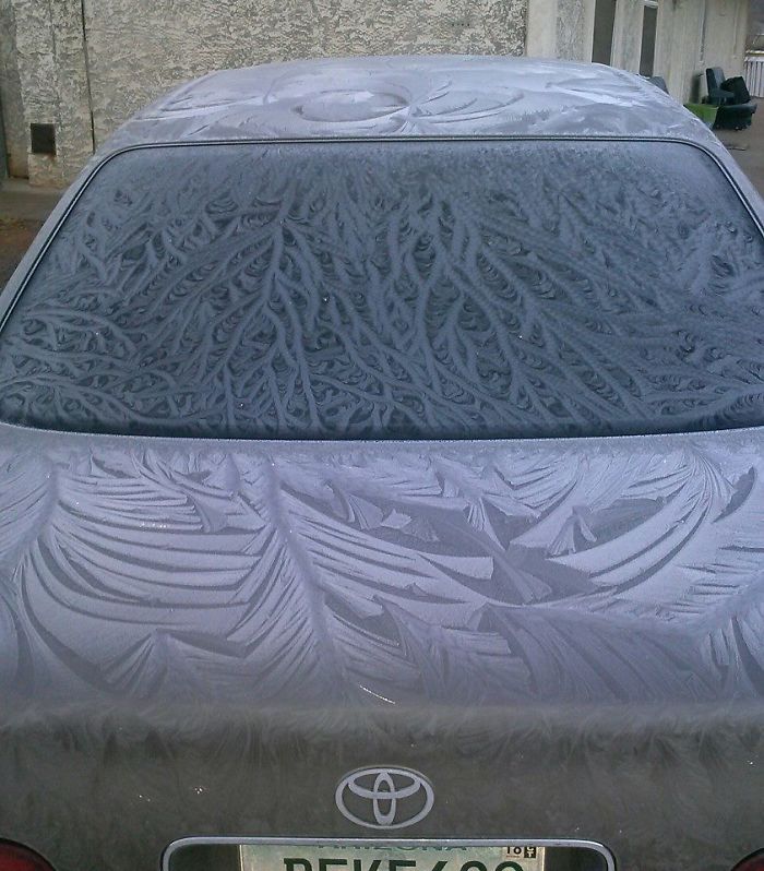 My Car Was Painted By Nature This Morning