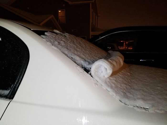 Snow Slid Off My Car And Rolled Itself Into A Neat Little Roll