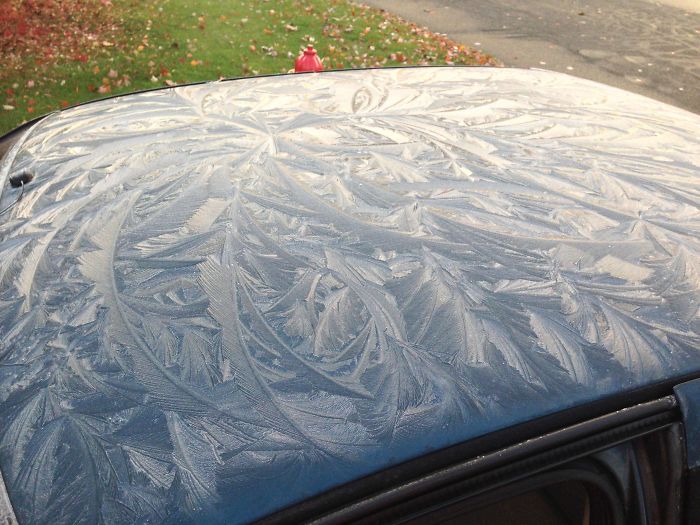 The Frost Left A Neat Design On My Car This Morning