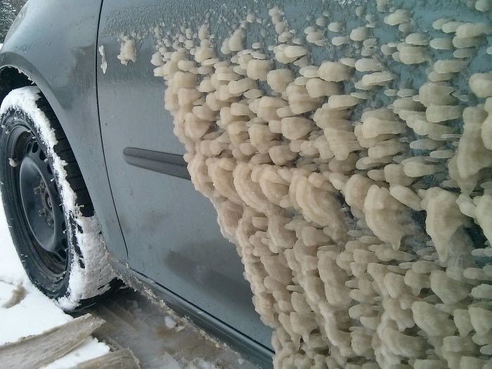 Ice On My Car Grew Like Fungus On A Log