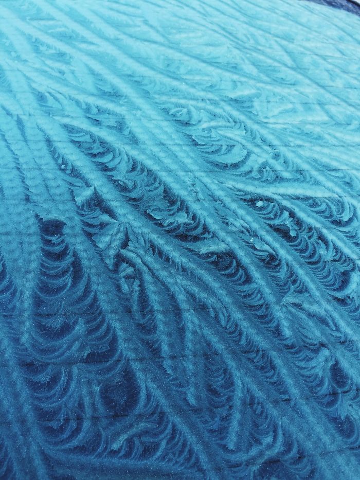 My Car's Back Window Covered In Interesting Frost Patterns