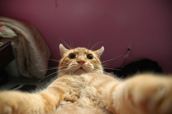Gizmo! Stop Taking Pictures Of Yourself Like Those Girls On Facebook