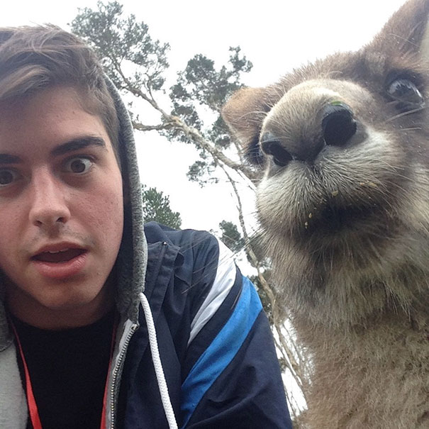 Selfie With A Kangaroo