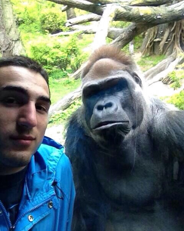 I Took A Selfie With My Main Dude