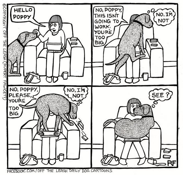 94 Hilarious Comics About Life With Dogs By Off The Leash