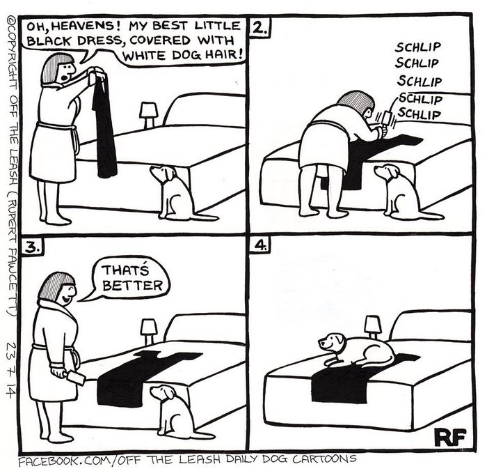 Funny Dog Cartoons