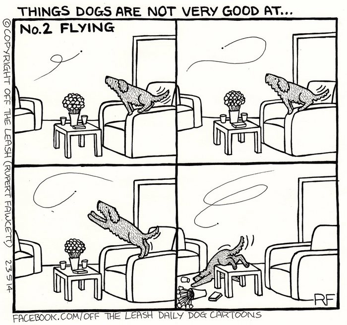 Funny Dog Cartoons