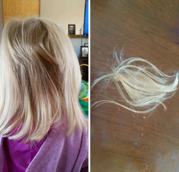 Three Weeks After Getting Her First Big Girl Haircut, She Decided To Cut A Chunk Out Of The Back. We Just Got Done Grooming Our Dogs & The Scissors Got Left Out. She Tried Blaming Us Because We Didn't Put Them Away