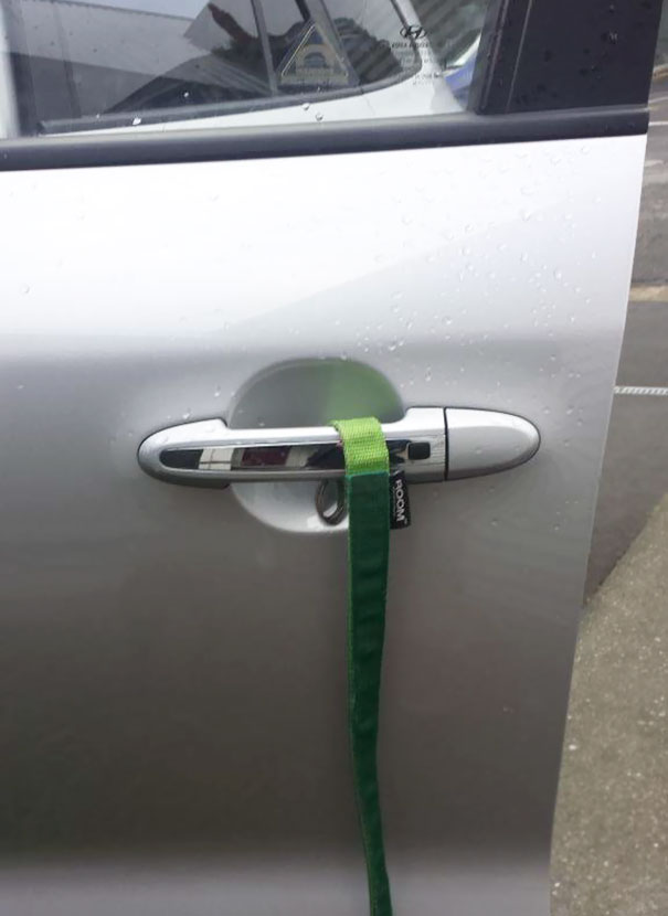 Asked The 5Yo To Put The Dog Lead In The Front Door Of The Car. Sort Of Right