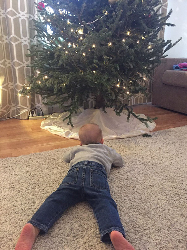 This Is What Happened When I Asked The 1Yo To Get In Front Of The Tree So I Could Take A Picture. Should've Been More Specific I Guess