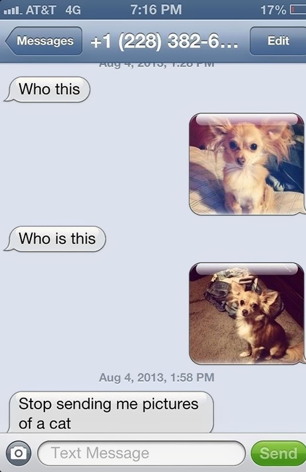 Text messages to send silly Hilarious And