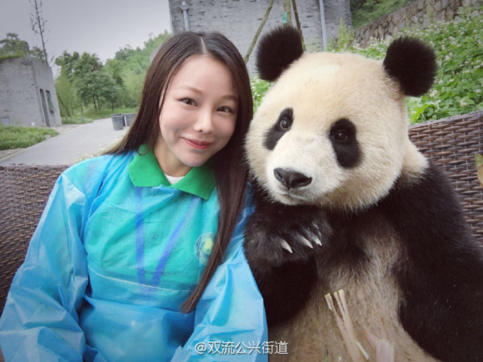 giant-panda-poses-tourist-selfie-1