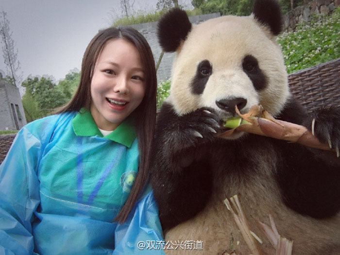 This Giant Panda Has Mastered The Selfie Game