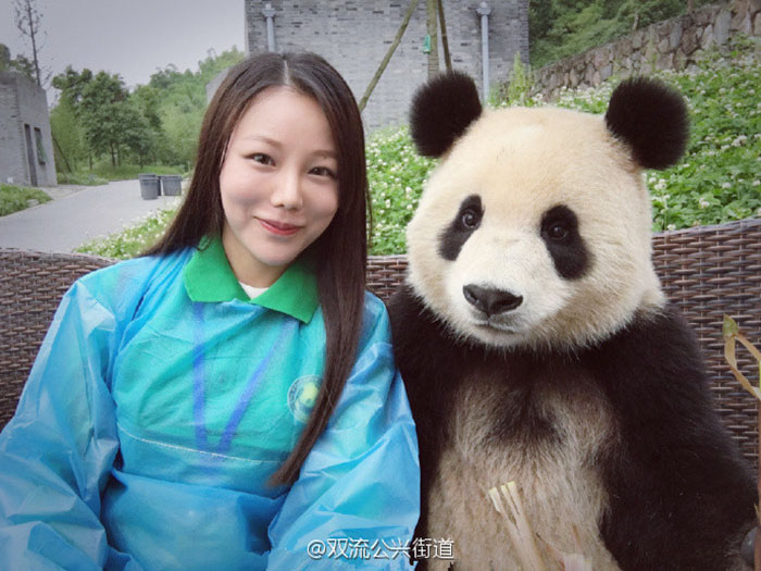 giant-panda-poses-tourist-selfie-6