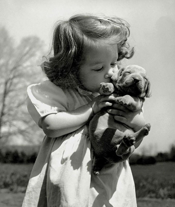 Christina Goldsmith Kissing A Weimaraner Puppy From Her Father's Stock Of Weimaraner Hunting Dogs, 1950