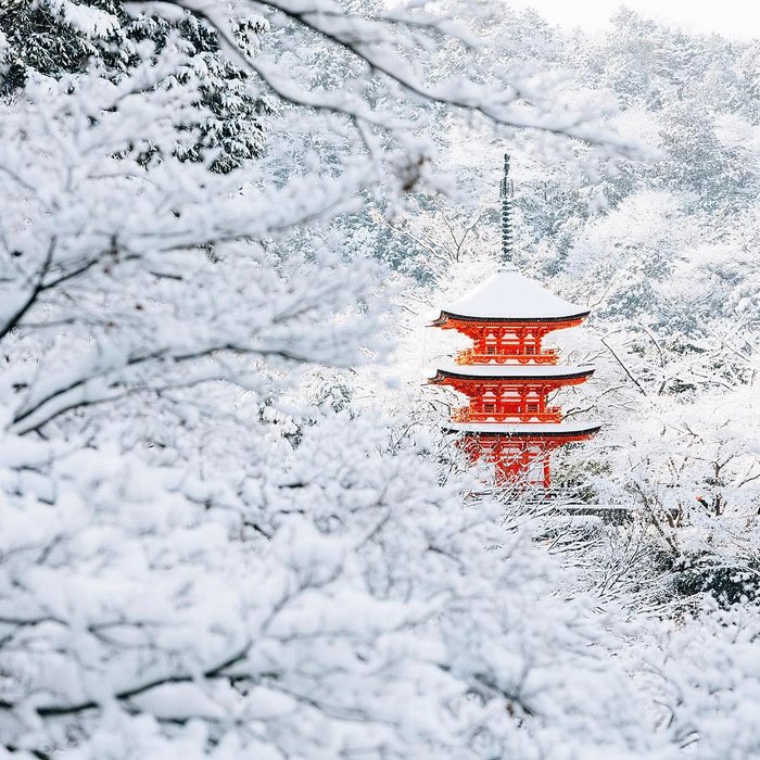 Heavy Snowfall In Kyoto