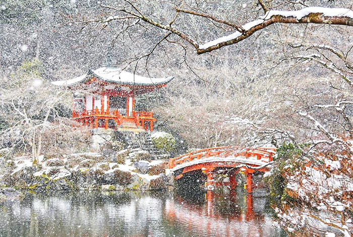 Heavy Snowfall In Kyoto