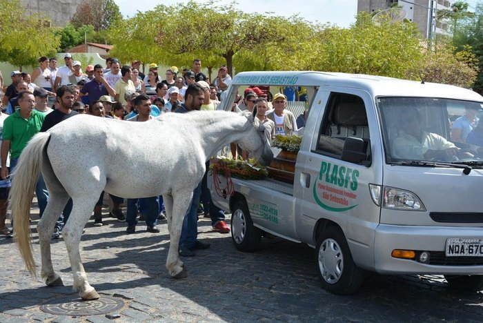 horse-goodbye-owner-funeral-brasil-4