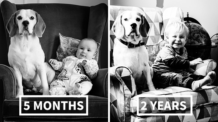 I’ve Taken A Picture Of My Son And Beagle Every Month For The Last Two Years In The Same Chair