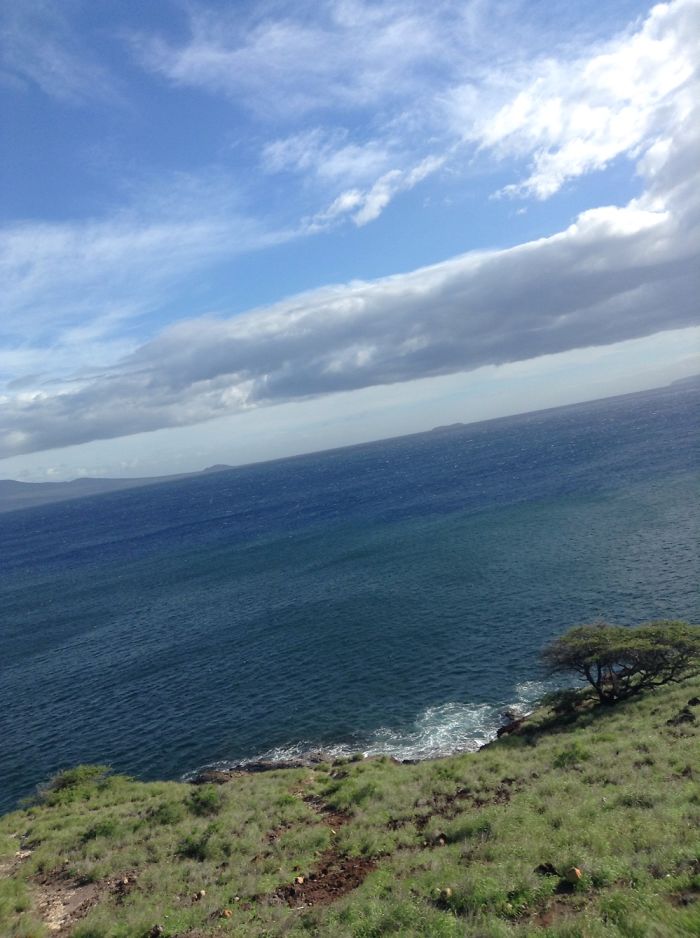 Went To Hawaii (better Pics)