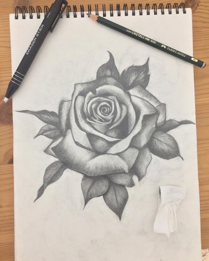 Drawing Progress