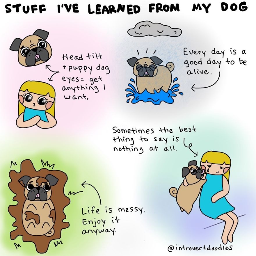 12 Comics For Pet-Obsessed People