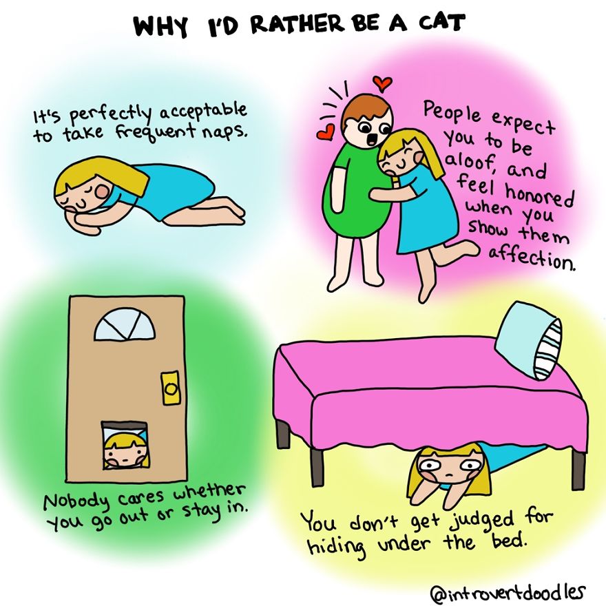 12 Comics For Pet-Obsessed People