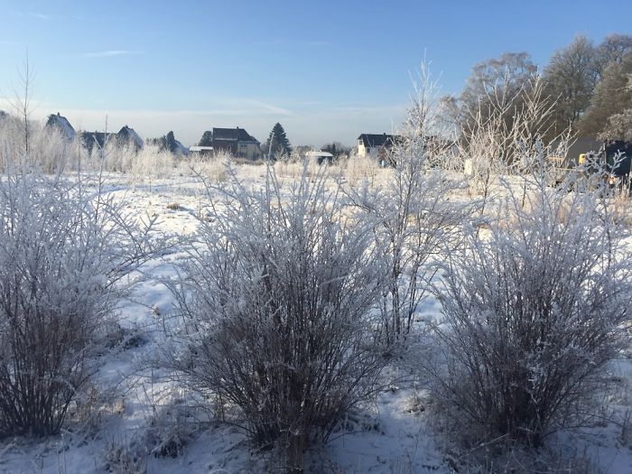 Winter Wonderland