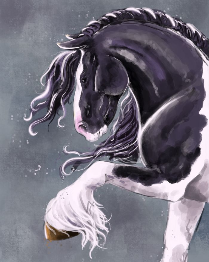 Equine Art - Gypsy Horse Stallion